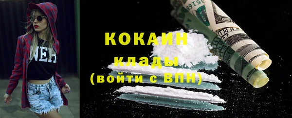 сатива Куйбышев
