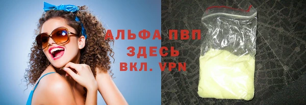 сатива Куйбышев