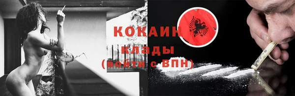 сатива Куйбышев
