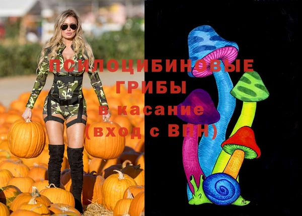 спиды Кукмор