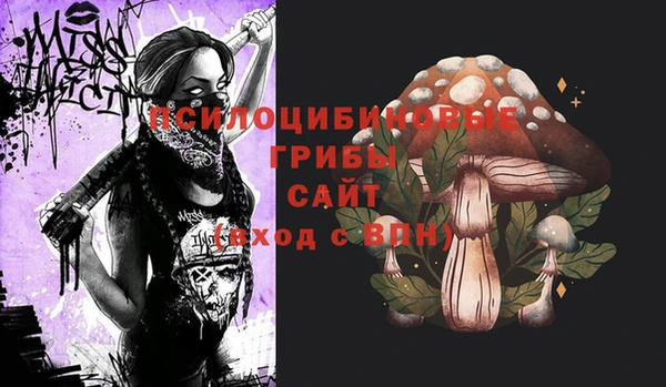 спиды Кукмор