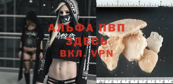 сатива Куйбышев