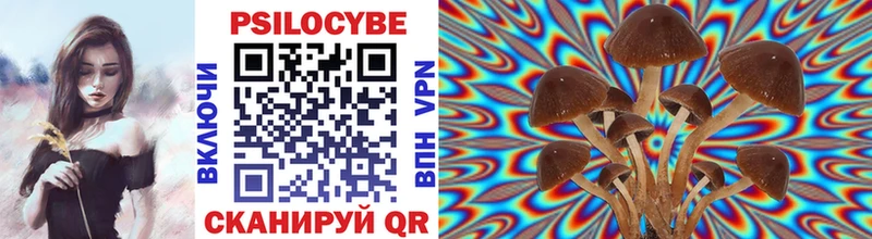 Псилоцибиновые грибы прущие грибы  Томилино 